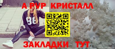 СК Бийск
