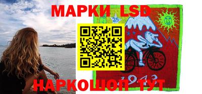 СК Бийск