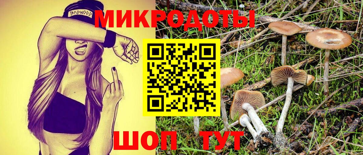 Казань  Галлюциногенные грибы мухоморы  как найти закладки  Вход с VPN 